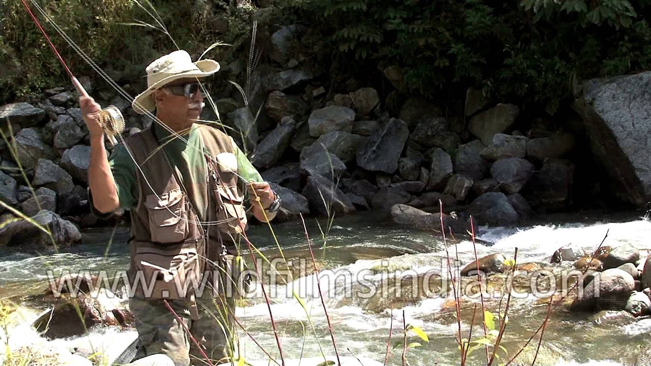 Trout fishing in Kashmir, India YouTube