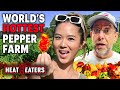 How Hot Ones Legend Smokin’ Ed Currie Grows the World’s Hottest Peppers | Heat Eaters