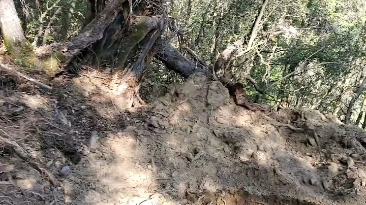 Switchback Construction