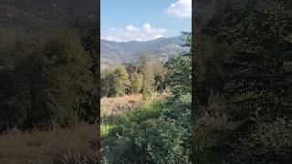 Nature 🏔️#viralvideo  #nature  #youtubeshorts  #shorts  #travel  #vlog  #trending  #video  #amazing