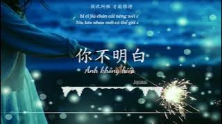 Vietsub -Pinyin | Anh Không Hiểu  你不明白  |Ni Bu Ming Bai|  - Joysaaaa