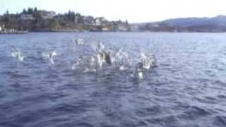 Sotra Norway 2008 Part 1