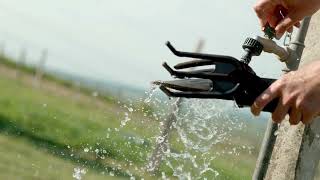 5 things to know before using hypochlorous acid on your plants