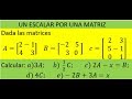 UN ESCALAR POR UNA MATRIZ