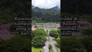 Sasana Karya Sasaar Wondama shorts