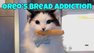Oreo’s Bread Addiction 🍞