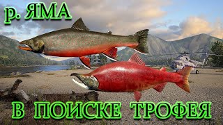 Русская рыбалка 4. Яма. Кижуч, мальма, сима жилая.В поисках трофа