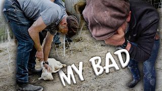 My Bad, this Sheep Died by Justin Rhodes 33,920 views 10 days ago 11 minutes, 31 seconds