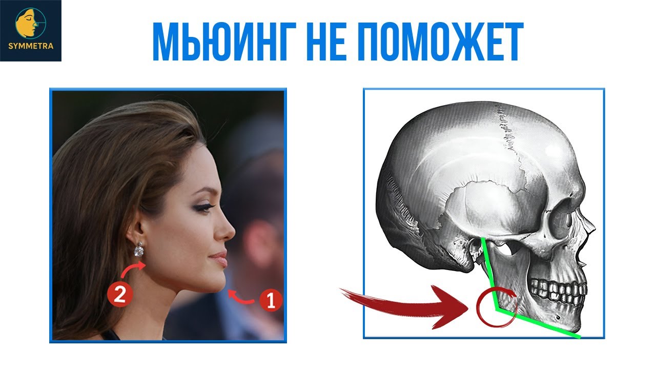 Что На Самом Деле Делает Челюсть Красивой? Подробный гайд