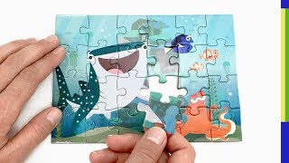 Disney Pixars Finding Dory Puzzle