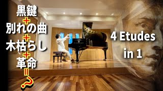 ショパンの黒鍵革命木枯らし別れの曲を一つの曲にして演奏してみた【エチュード】