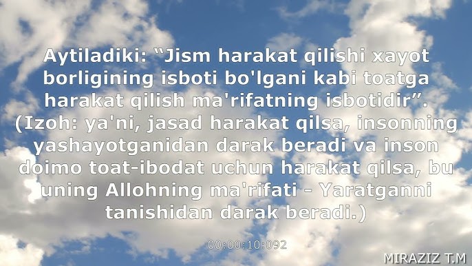 Qanday mushuk qayerda?