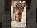 How to Make a Healthy Chocolate Milkshake for Kids (Better Than Store-Bought!) #milkshakesmoothies