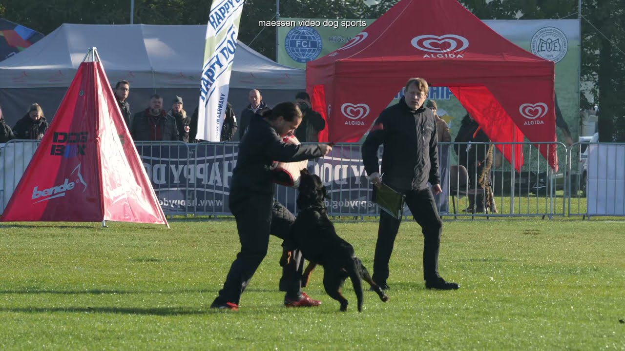 IFR Rottweiler Worldchampionship 2021 IGP