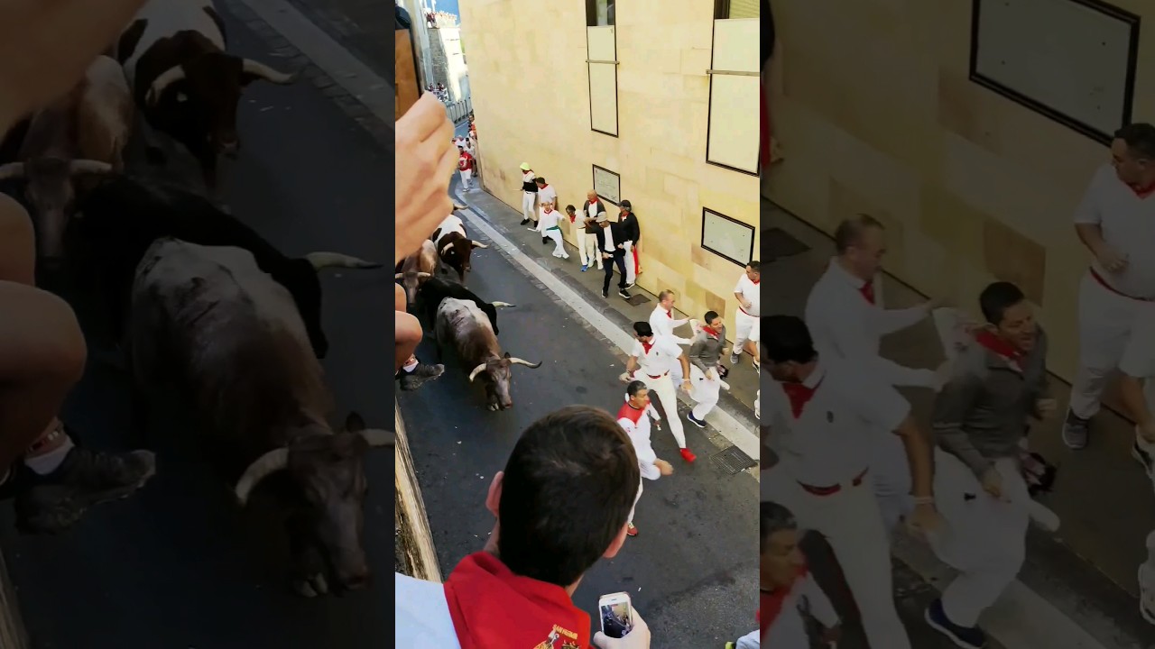 sanFermin - Running of the Bulls, Spain 