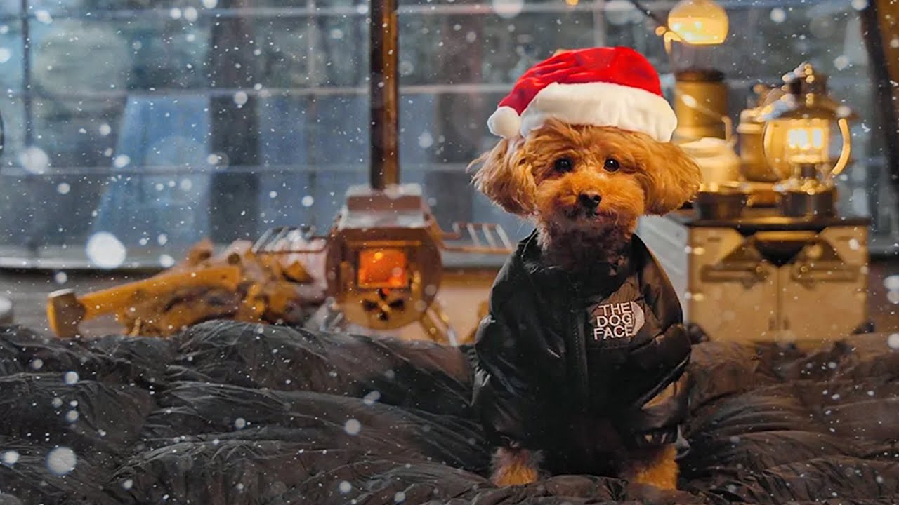 365 дней похода, нарисованные глазами моей собаки ASMR