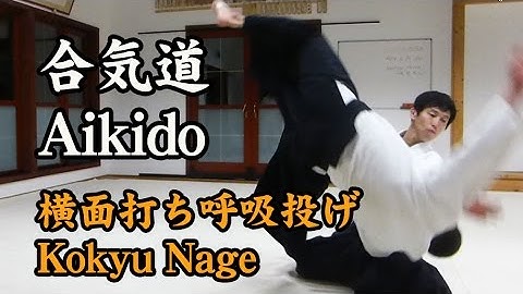 合気道‐横面打ち呼吸投げ Aikido - Kokyu Nage (Shirakawa Ryuji sensei)
