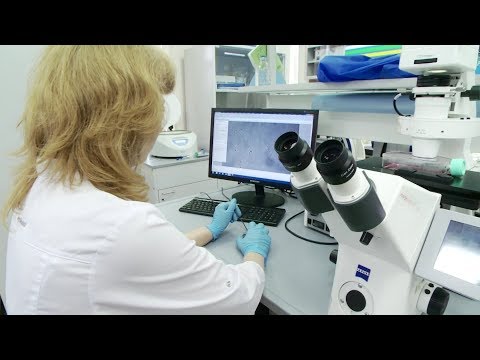 Видео: Могут ли стволовые клетки вырастить конечности?