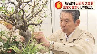 皇居も正月準備　新年用「春飾り」の仕上げ大詰め(19/12/25)
