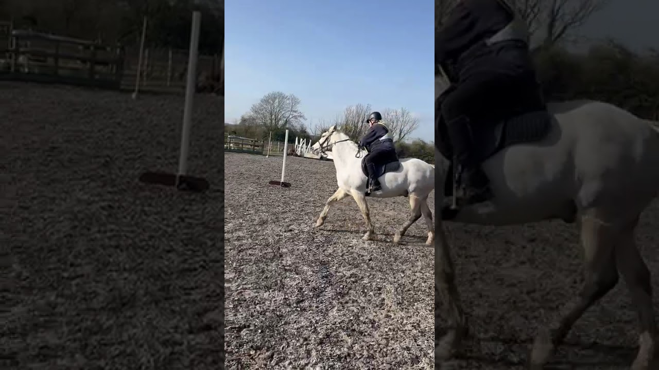 Sue Squirrell Feb Class 2