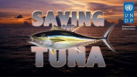Saving Our Tuna - UNDP