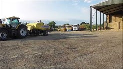 JWB's ready for harvest 2018