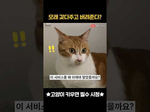 고양이 키우면 꼭 신청하세요! #꿀팁