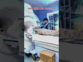 MRI _ Brain 🧠 position and scanning #radiology #short video #youtube shorts🩻