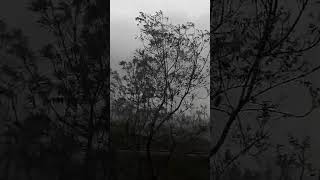 deewana hua badal hindi song superhit.weather is nice #hindisong #rainfacts #popularsong @hss