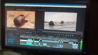 Yadda Ake Hada Hoton Film Din Cin Tuwon Amary