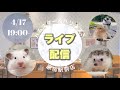 【ライブ】ゆるっと動物さんトーーーーク！