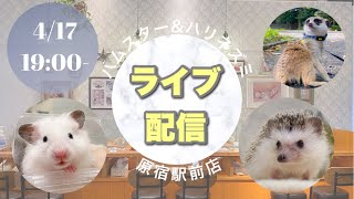 【ライブ】ゆるっと動物さんトーーーーク！