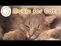 EXTRA LONG Music for Cats - 10 Hours of Soothing Sleep Lullabies 💤