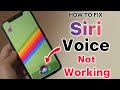 How To Fix Siri Voice Not Working On IPhone After IOS 18 Siri Not Listening Not Speaking