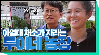 [더불어 사는 세상] 한국에서 베트남 채소가 자란다🥬투이네 농장│전라북도 농업기술원│귀농│농사