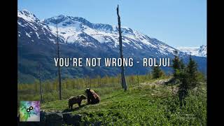 You're not wrong - Roljui