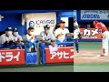 【打球がベンチへ】九里亜蓮、ヤクルトベンチに謝罪するも高津監督に何か言われる