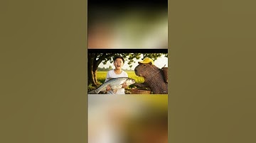 Capy cùng anh ra đồng bắt cá về nấu cơm #capybara
