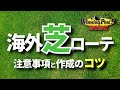 【ウイニングポスト9 2020】海外の芝おすすめローテーションと注意事項と勝ちやすいローテ作成のコツ【初心者向け】