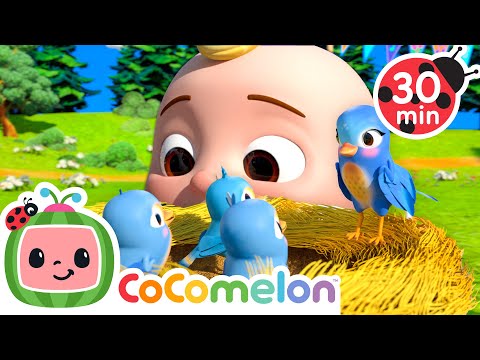 Itsy Bitsy Birdie 🐣 30 MINUTE LOOP | Karaoke Nursery Rhymes & Kids Songs - CoComelon
