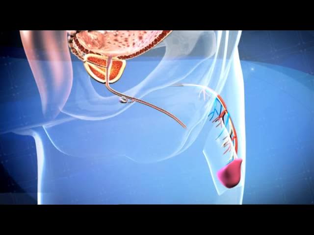 Сексуалдық порно видеода ханым басым