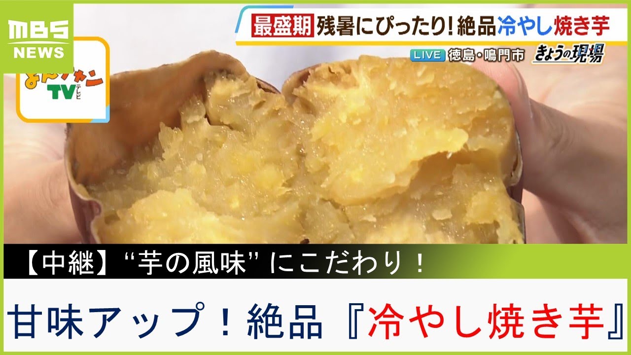 お芋愛あふれる農家がつくる「焼き芋にぴったり」なサツマイモ『里浦ゴールド』...熱い焼き芋だけじゃなく『冷やし焼き芋』が絶品！徳島・ヤマキファーム【現場から生中継】（2023年9月7日）