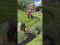 Installing mulch #lawnmowingbusiness #mulching #viralvideo