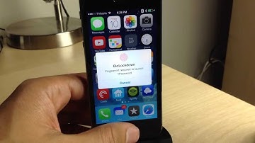 1Pal: Store 1Password Master Password and use Touch ID instead