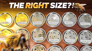 Unlocking Efficiency: What is the Right Hole Size for Bee Feeder Jar?  #beekeepingtips