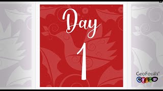 GeoFossils Advent Calendar Reveal 2021 - Day 1