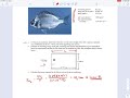 Boundary Layer Example - BL_36