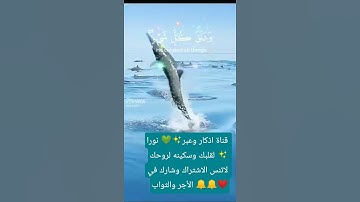 تلاوة خاشعه مؤثره جدا✨  #اكسبلور #لايك #ترند #ارحه نفسيه#سكينة #السعودية # #ترند # راحة_نفسية #دعاء