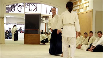 Newport Beach Aikikai Winter Seminar - 4th Kyu Testing