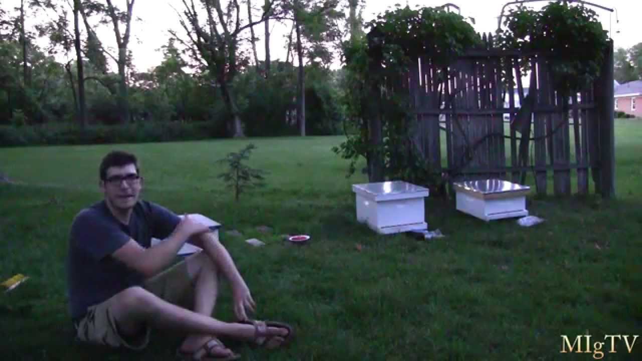 beekeeping books Bee Questions Answered